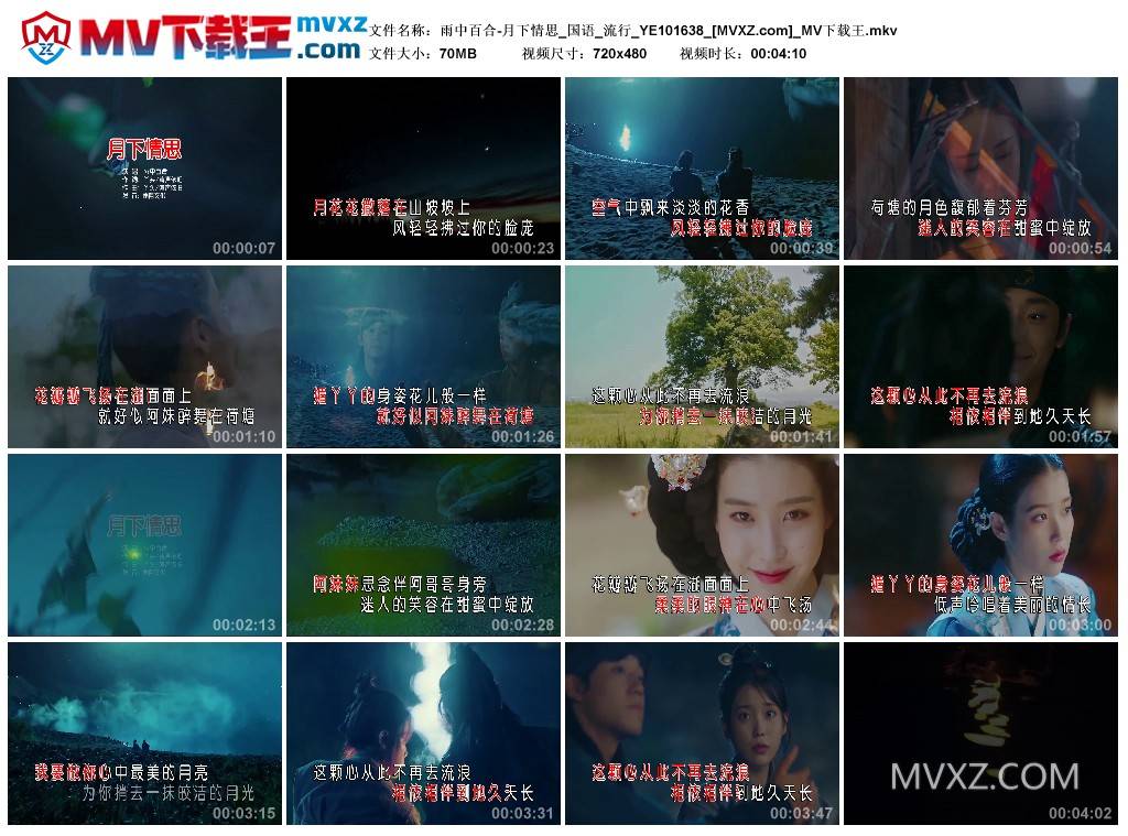 雨中百合-月下情思_国语_流行_YE101638